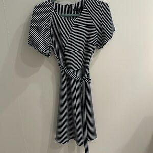 Banana Republic Blue and White Stripe Midi Work Dress